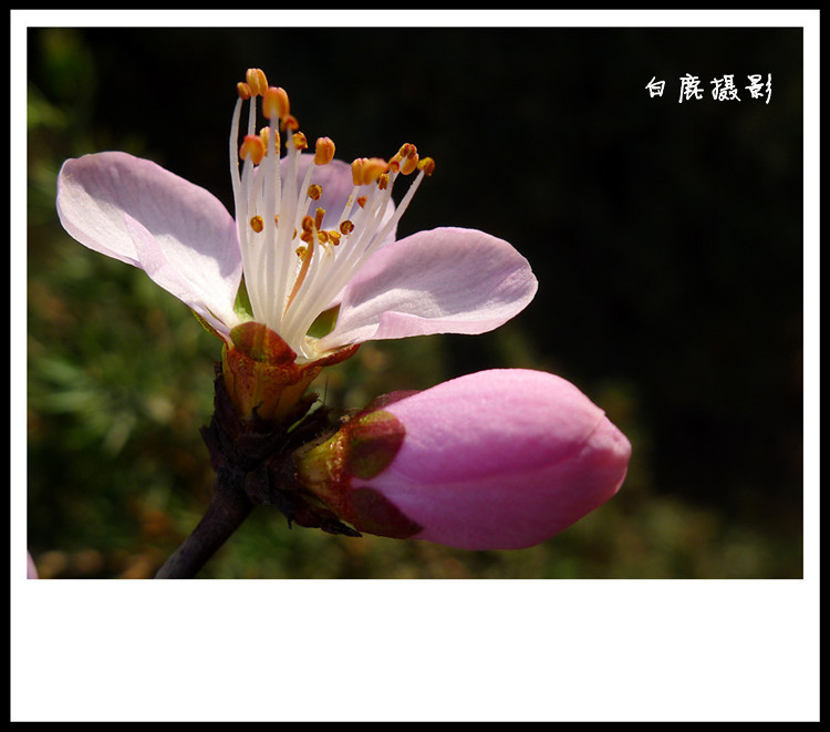 P1130440_副本.jpg