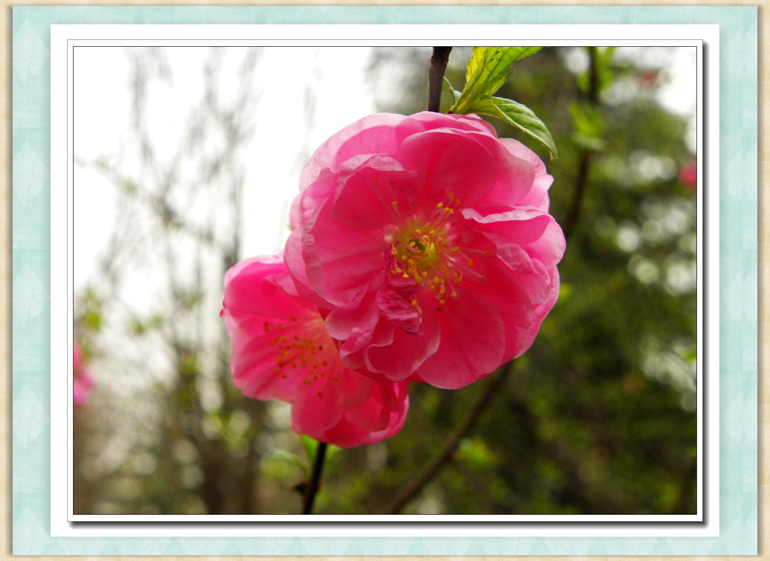 DSCN4557.JPG
