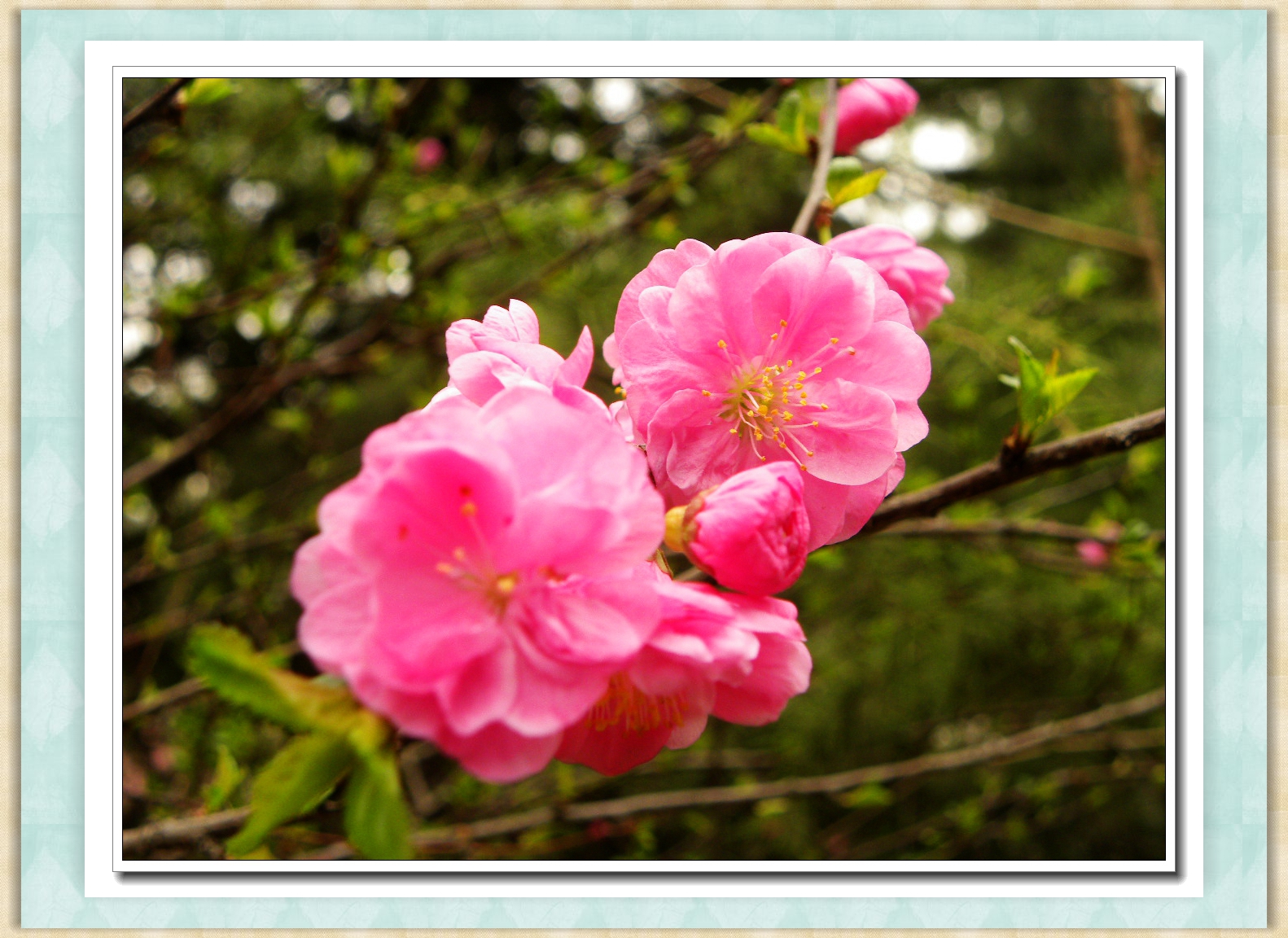 DSCN4561.JPG