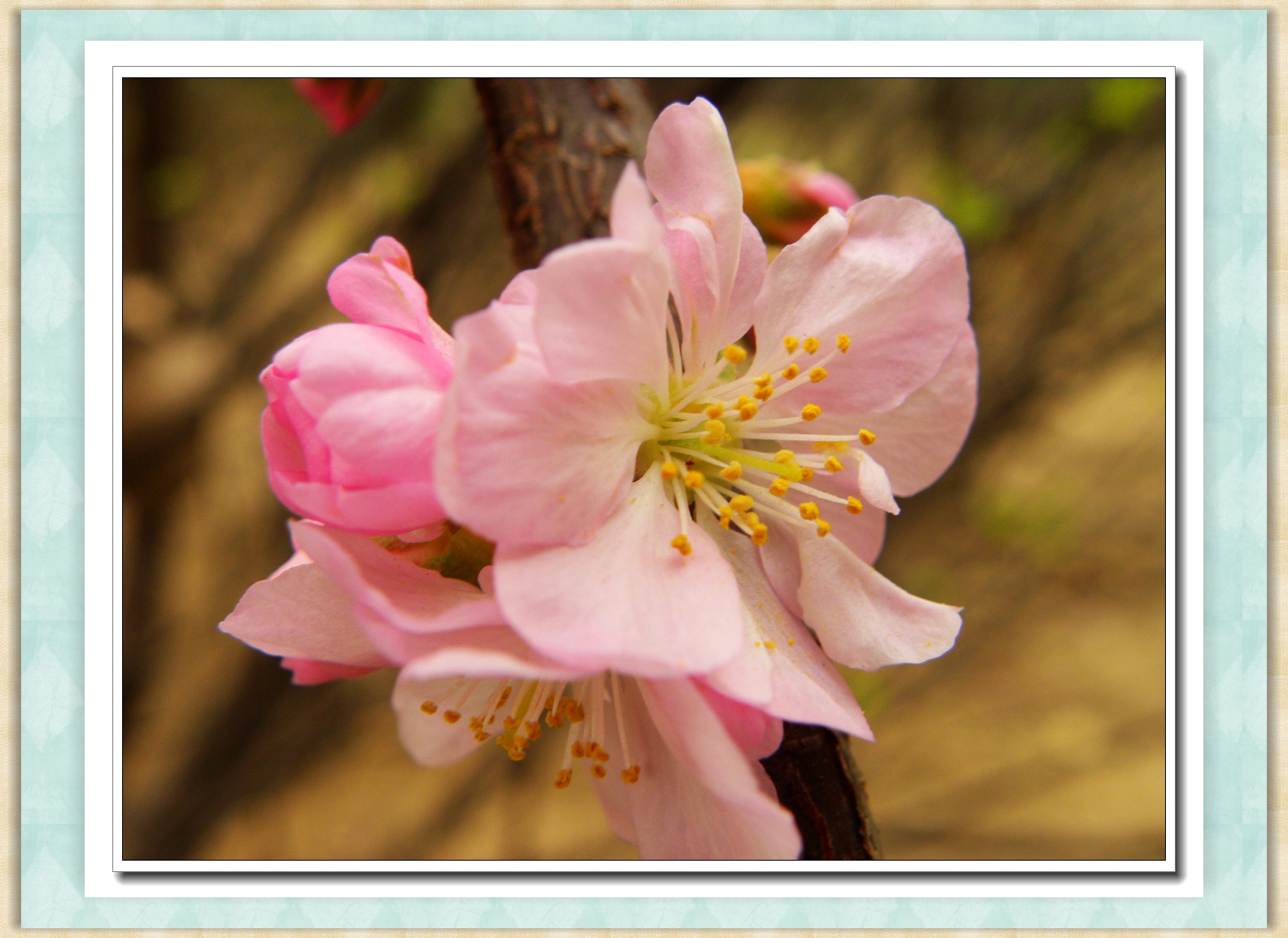 DSCN4638.JPG