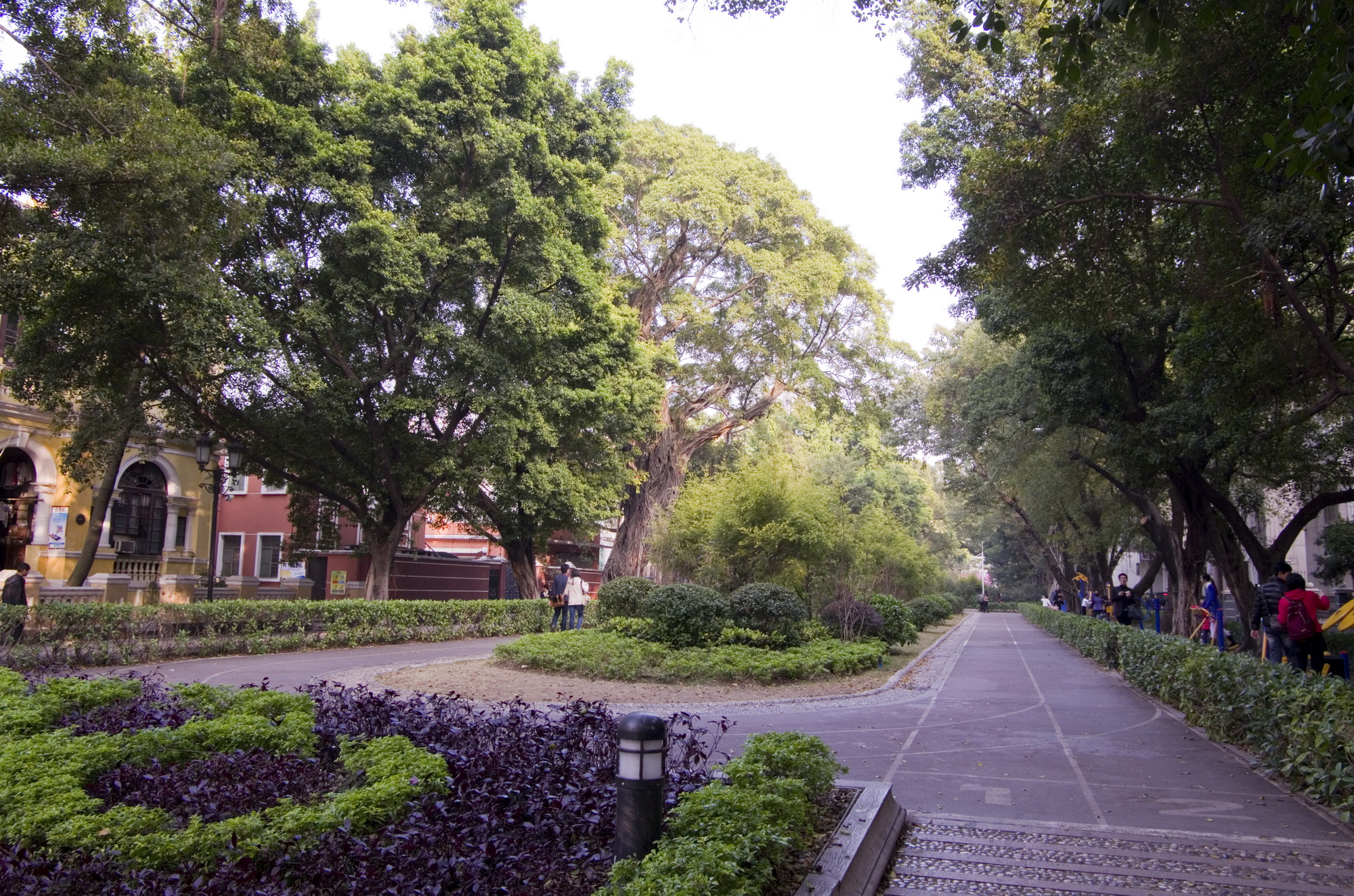 IMGP2459_调整大小.jpg