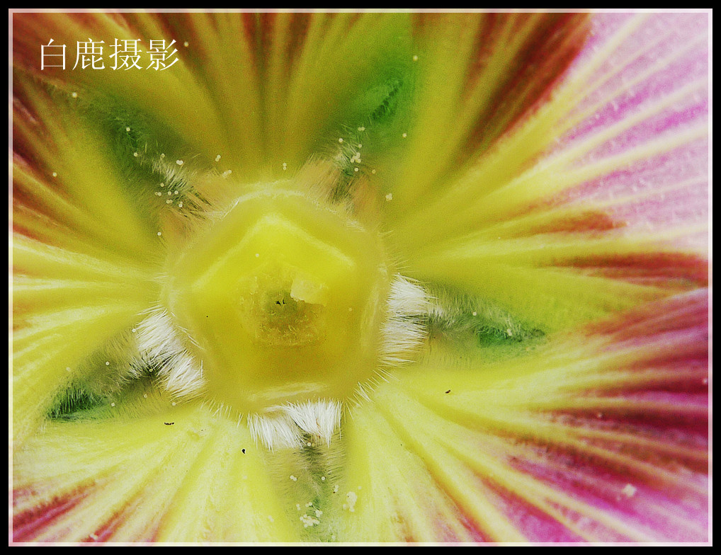 P1180144_副本_副本.jpg