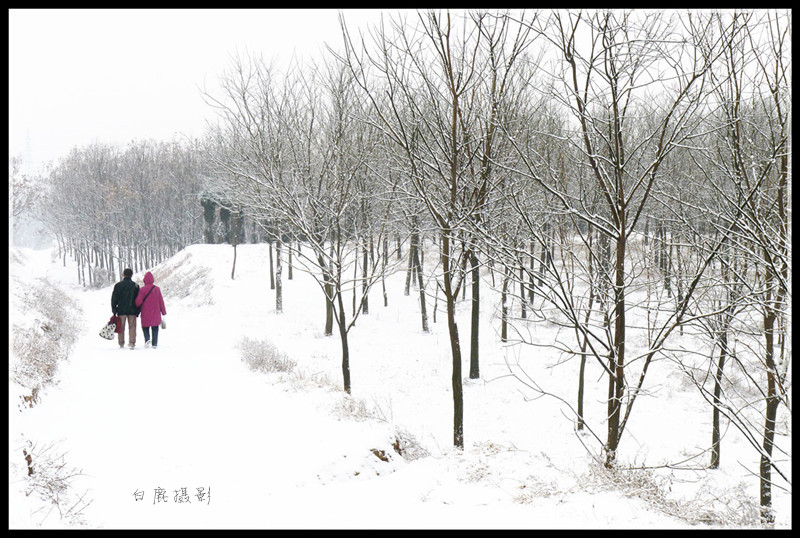 P1120479_副本.jpg