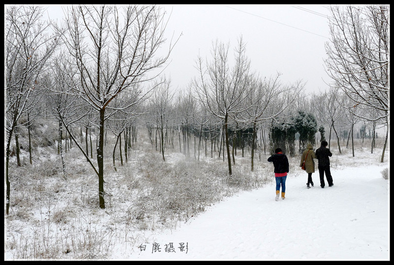 P1120510_副本.jpg