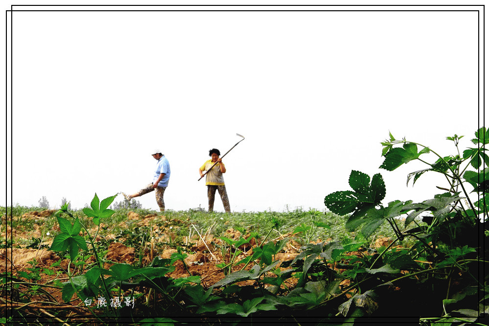 P1050170_副本.jpg