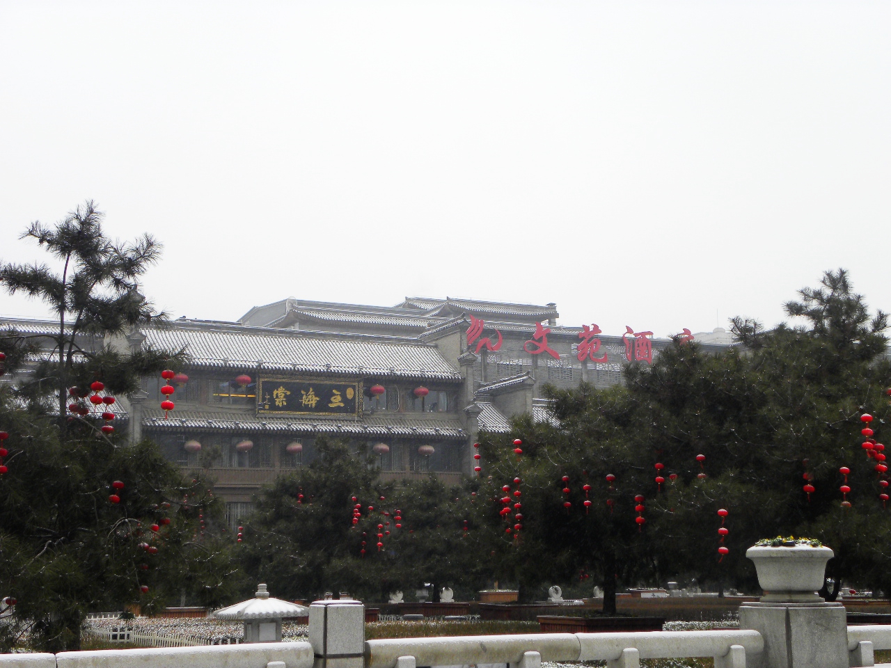 DSCN2311.JPG