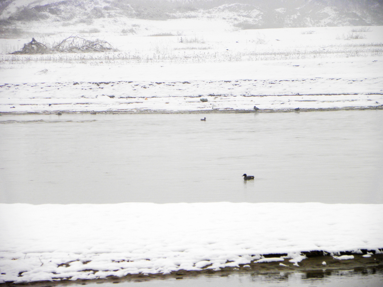 DSCN4638.JPG