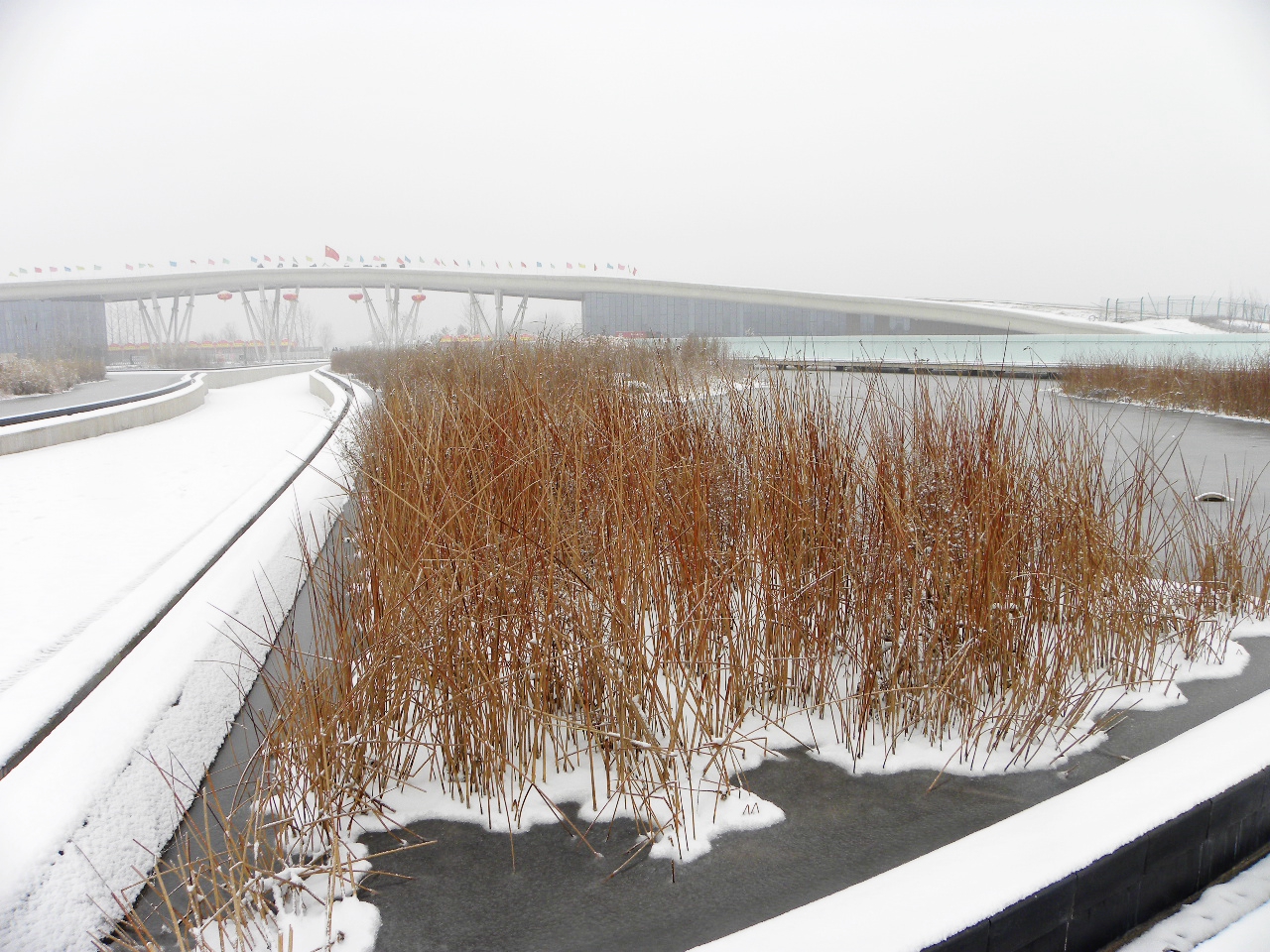 DSCN4479.JPG