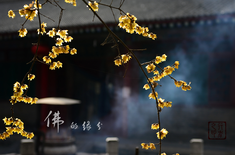 佛的缘分4.jpg