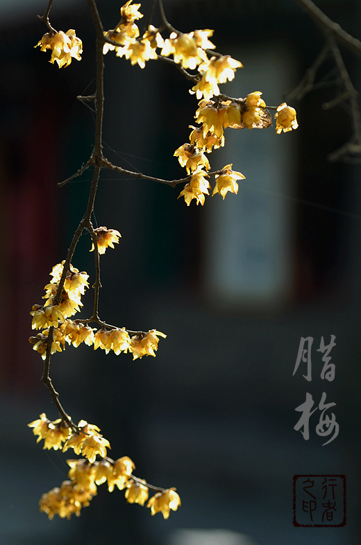 佛的缘分7.jpg