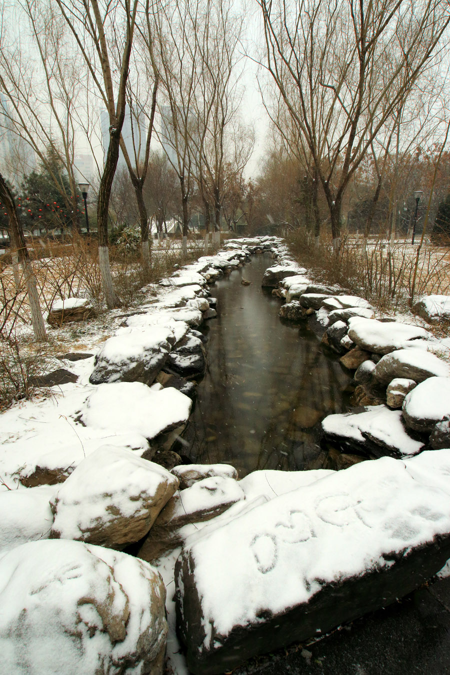 _MG_6874.jpg
