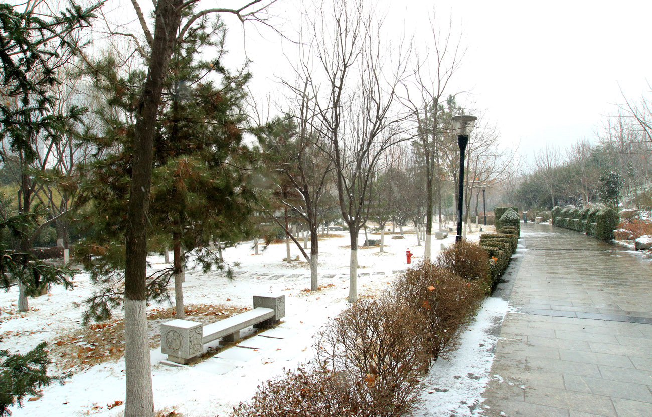 _MG_6885.jpg