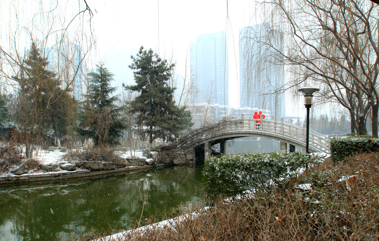 _MG_6923.jpg