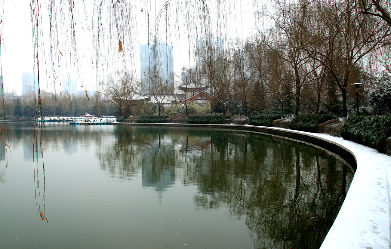 _MG_7073.jpg