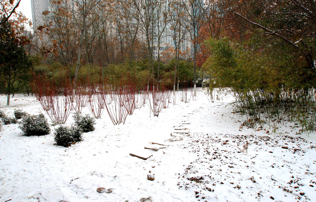 _MG_7320.jpg