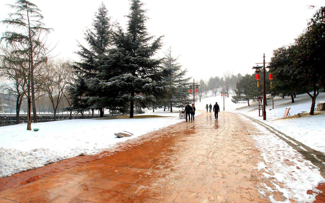 _MG_7487.jpg