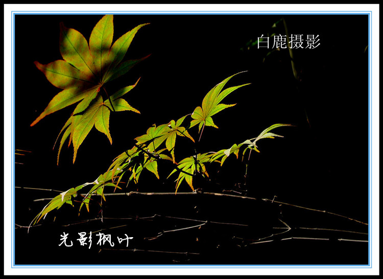 P1170054_副本.jpg
