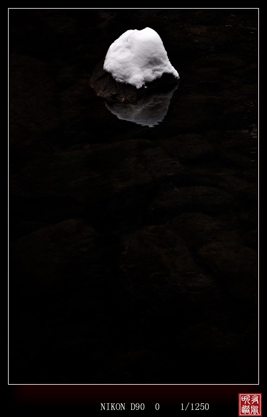 DSC_8544.JPG