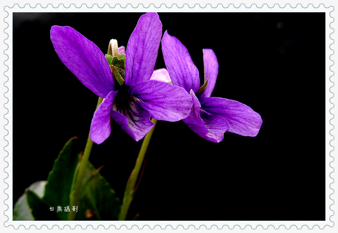 P1140024_副本_副本.jpg