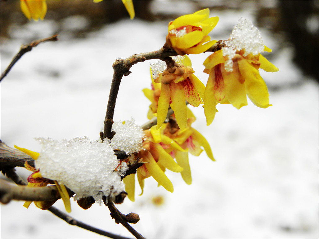 DSCN5906.JPG