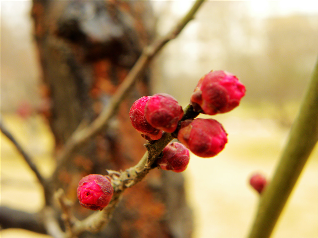 DSCN6006.JPG