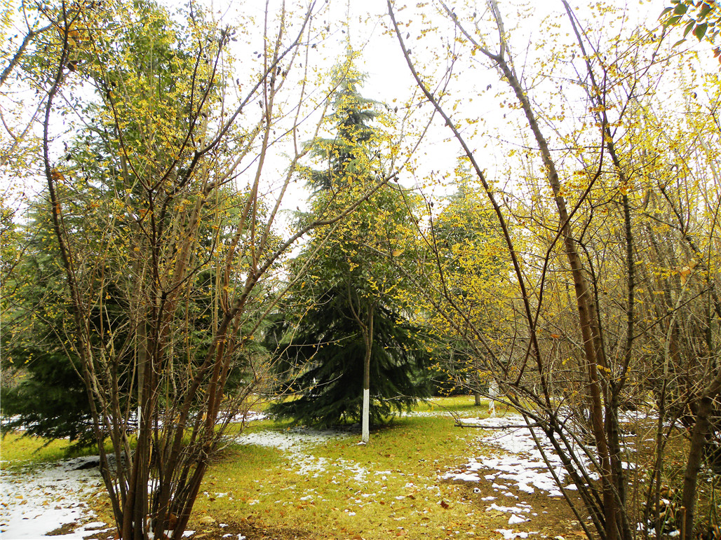 DSCN5900.JPG