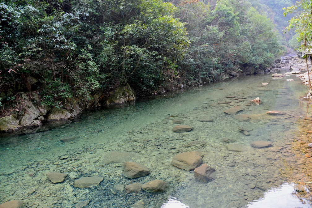 DSC_6730.jpg