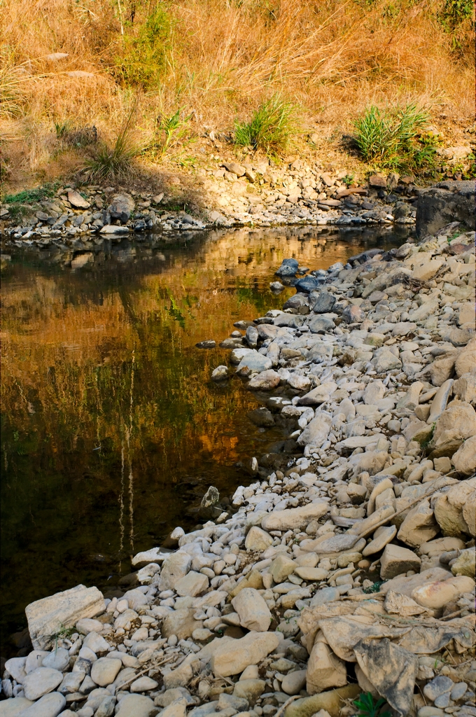 IMGP0035.jpg