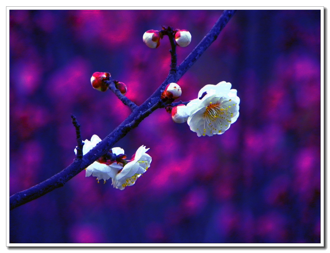 DSCN8591.JPG