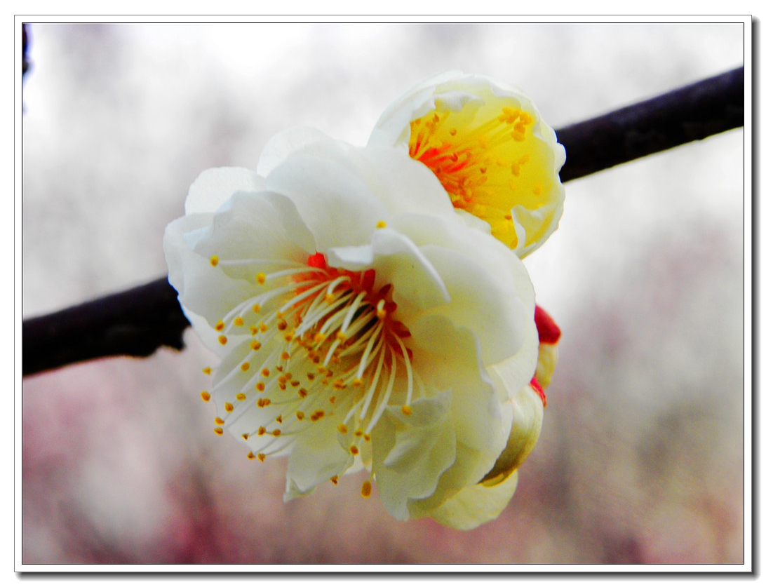 DSCN8573.JPG