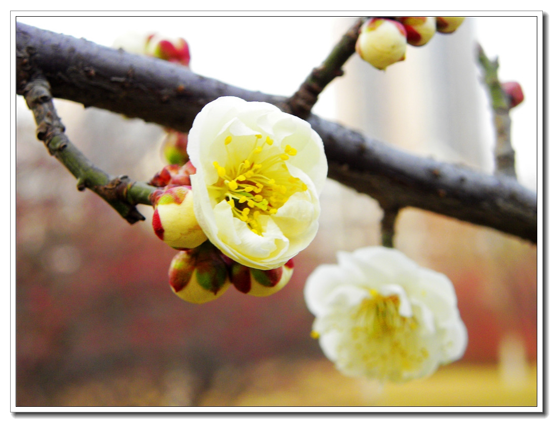 DSCN8582.JPG