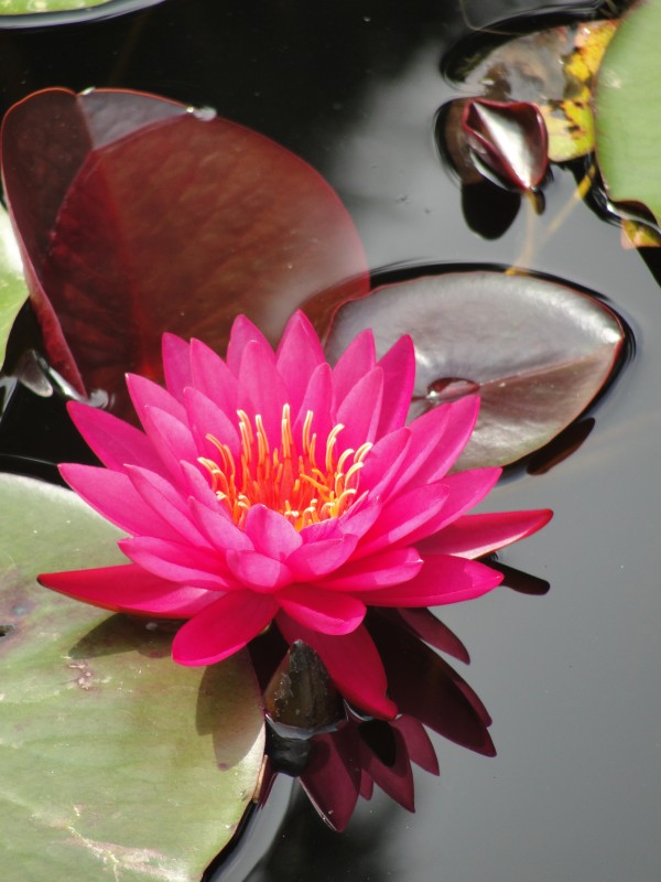DSC04940_conew1.jpg
