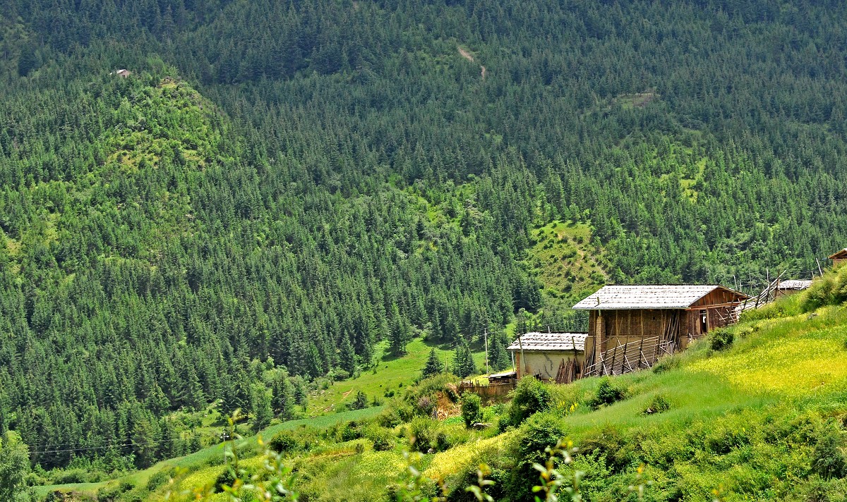 09.jpg