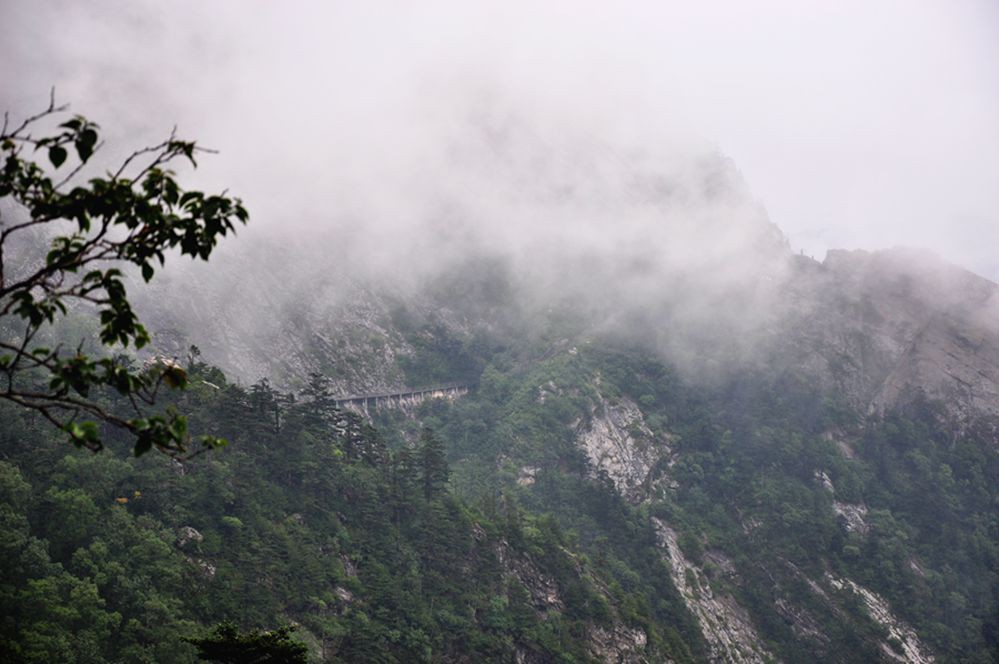 DSC_0180.jpg
