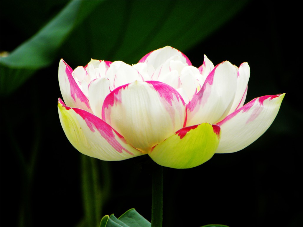 DSCN7710.JPG