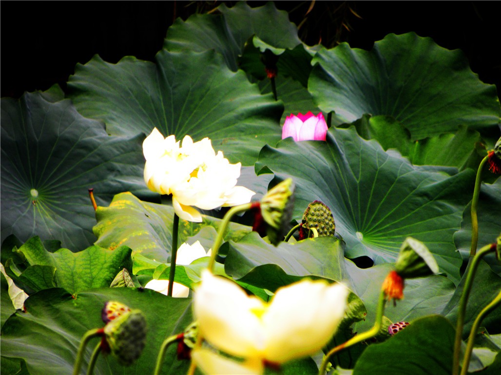 DSCN7877.JPG