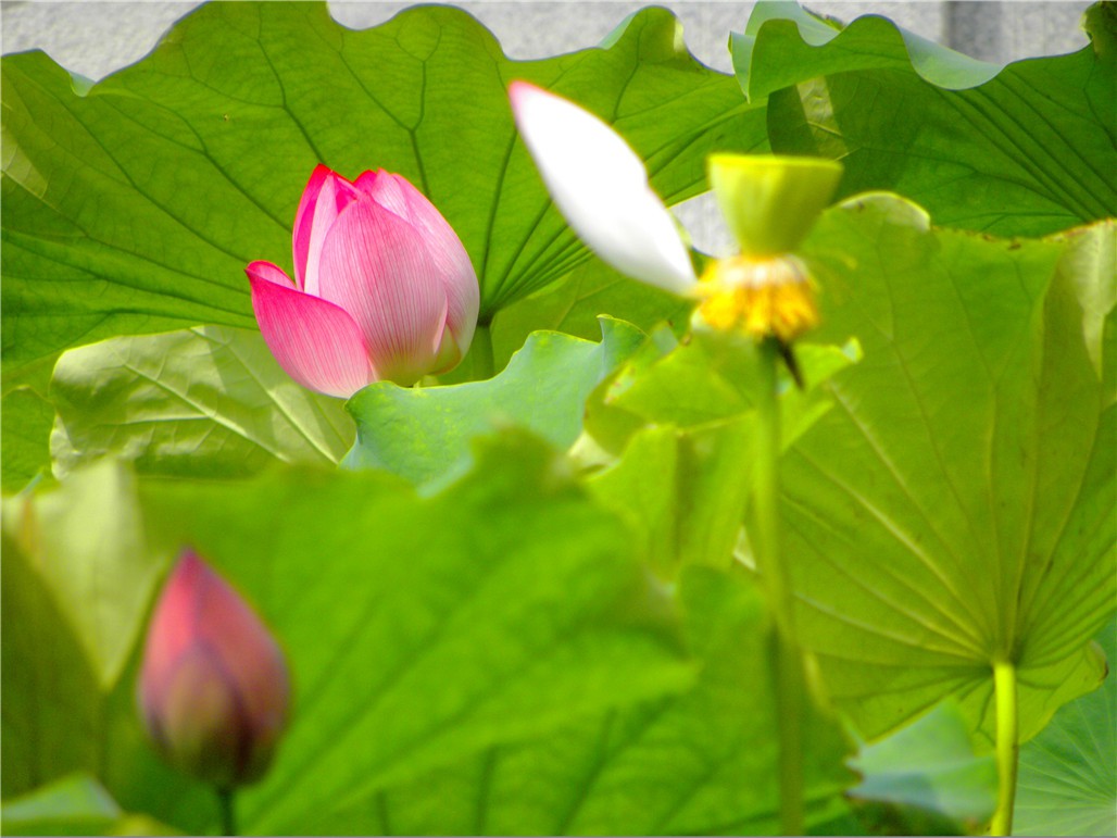 DSCN8048.JPG