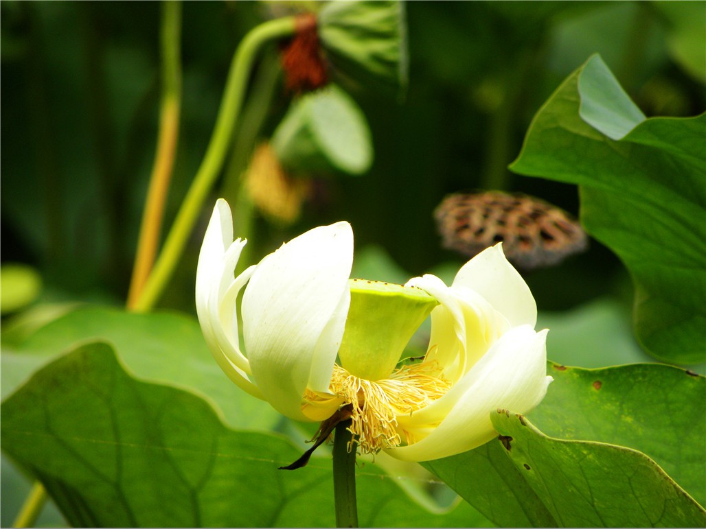 DSCN7896.JPG