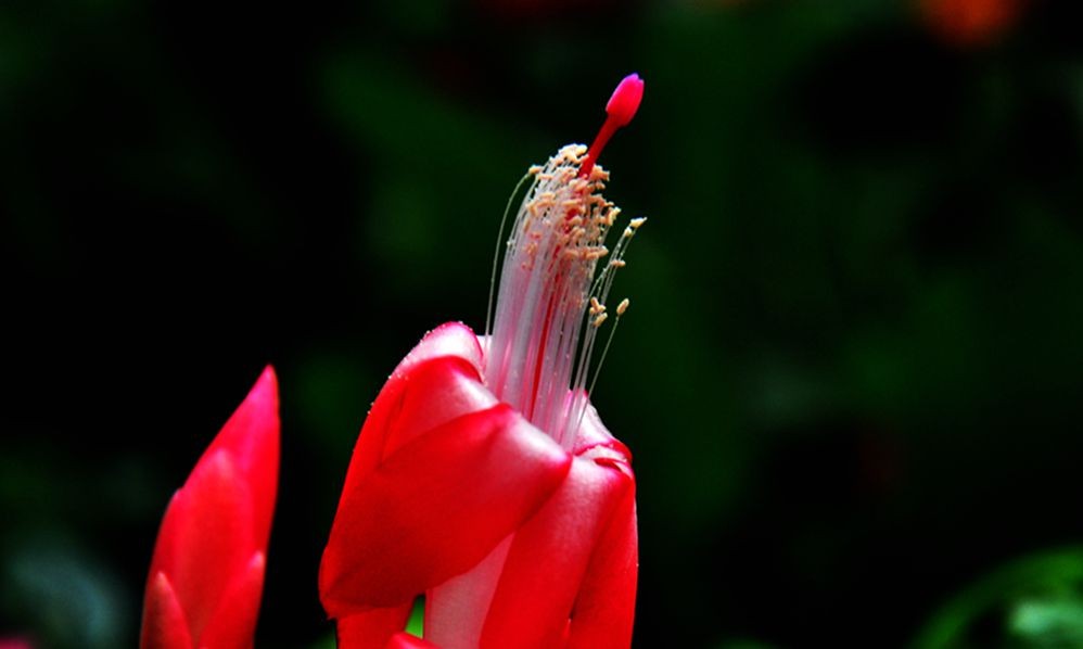 DSC_0760.jpg