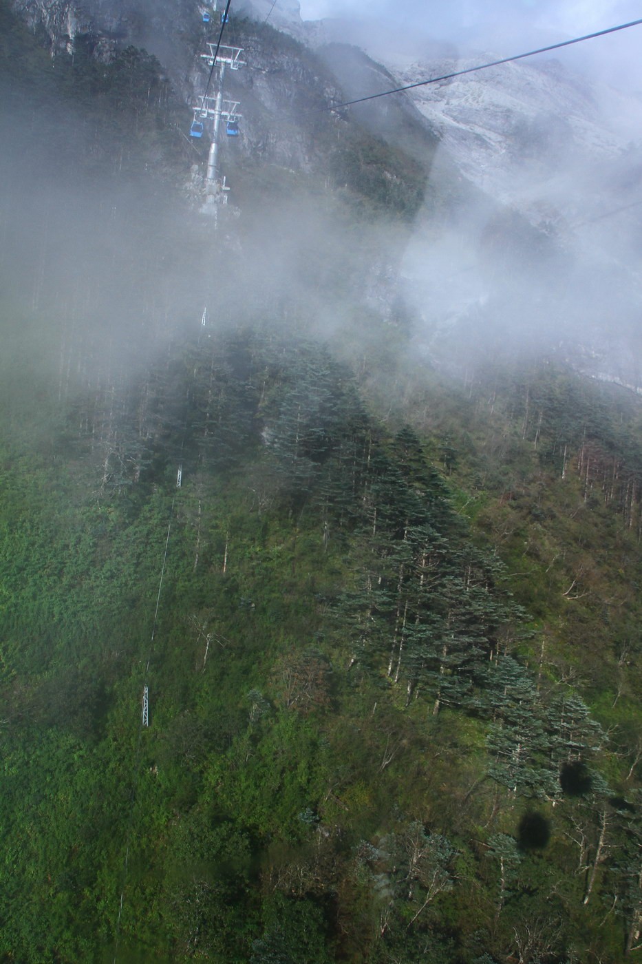IMG_1227_调整大小.JPG
