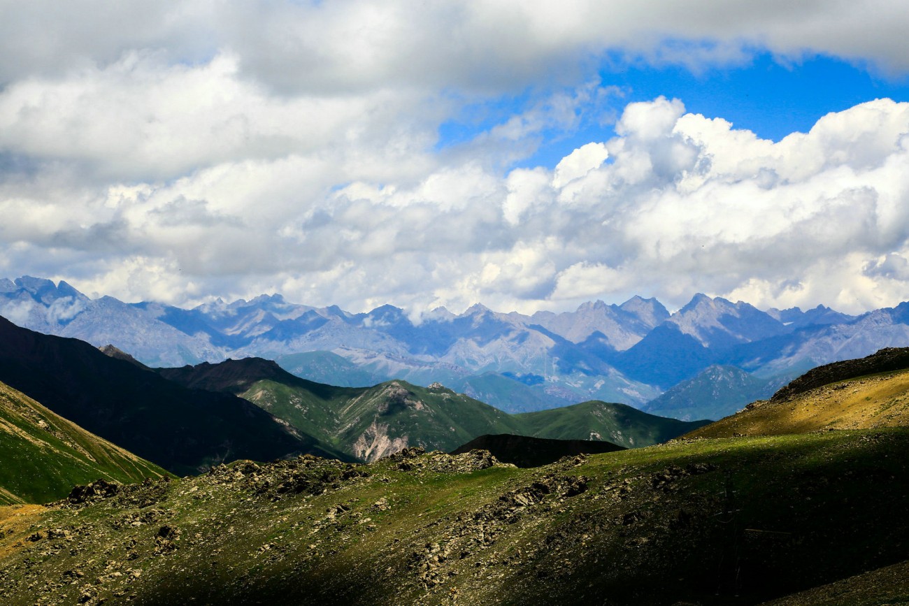 _MG_0326.jpg