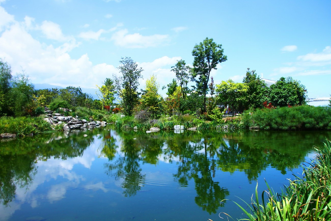 IMG_2721A_调整大小.JPG