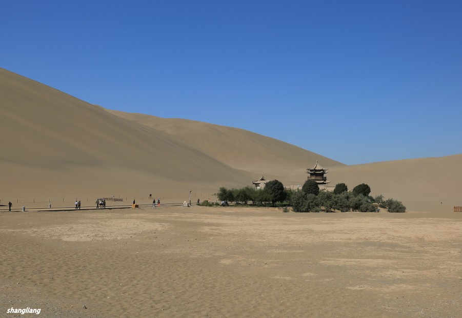 DO2A4500_conew1.jpg
