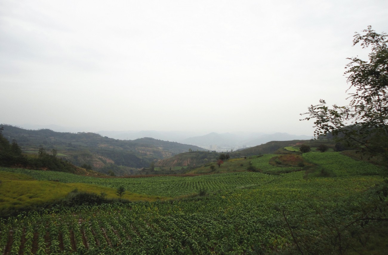 DSC09061_副本_副本.jpg
