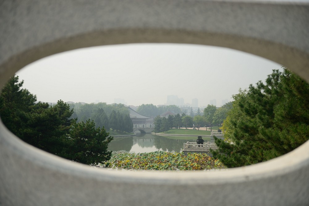 08DSC_1125.jpg