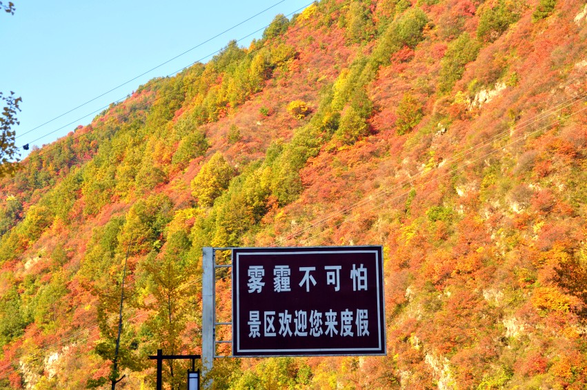 DSC_0016_conew1.jpg