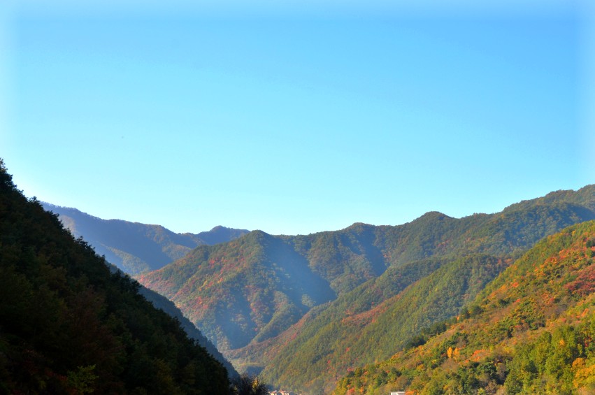 DSC_0036_conew1.jpg