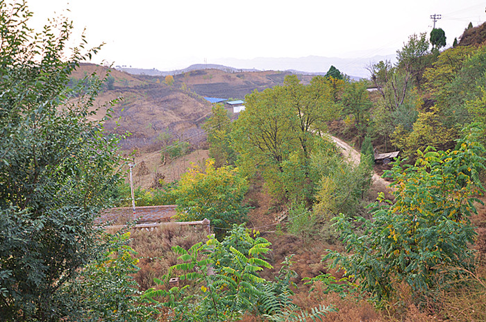 DSC_0074_副本.jpg