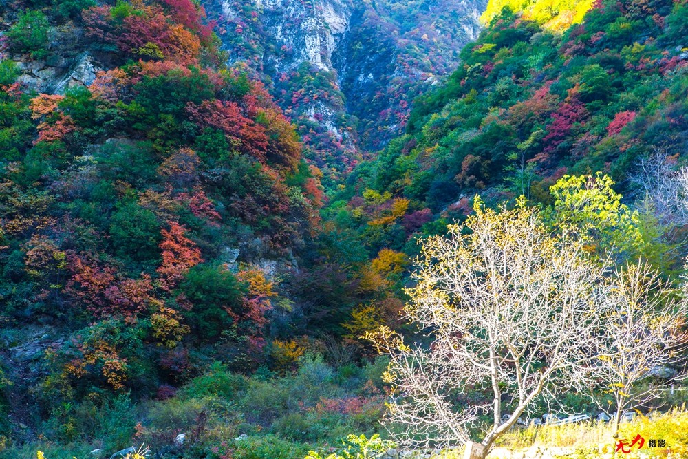 甘花溪 (8).jpg