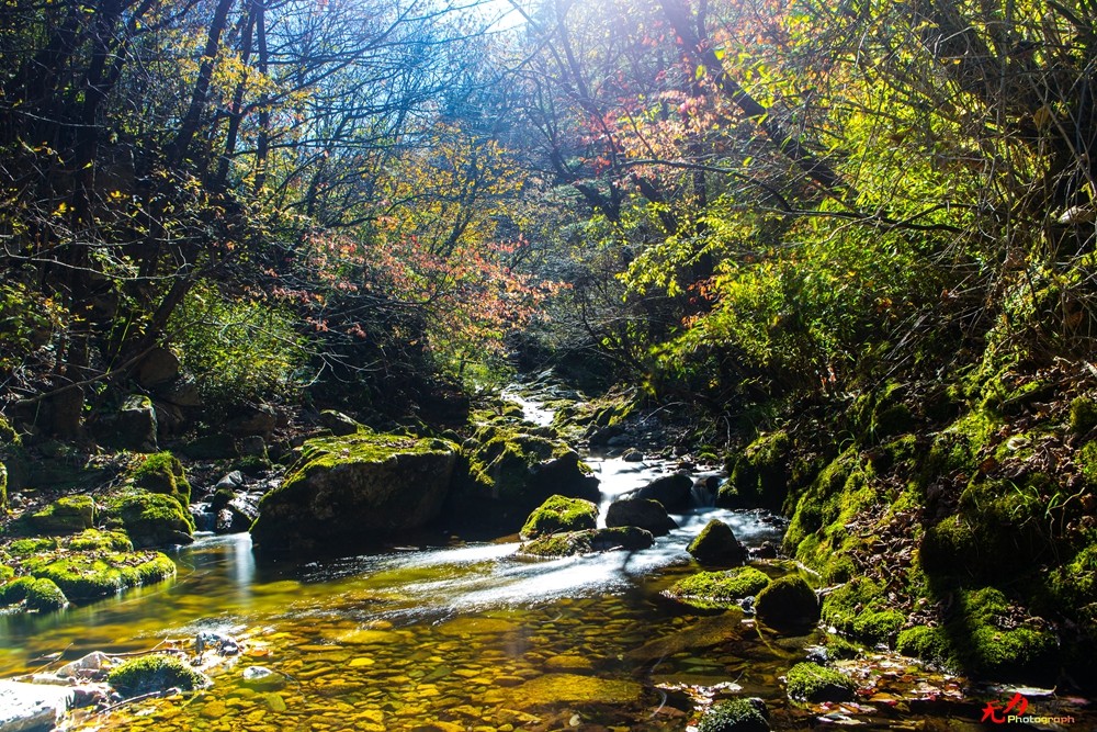 甘花溪 (63).jpg